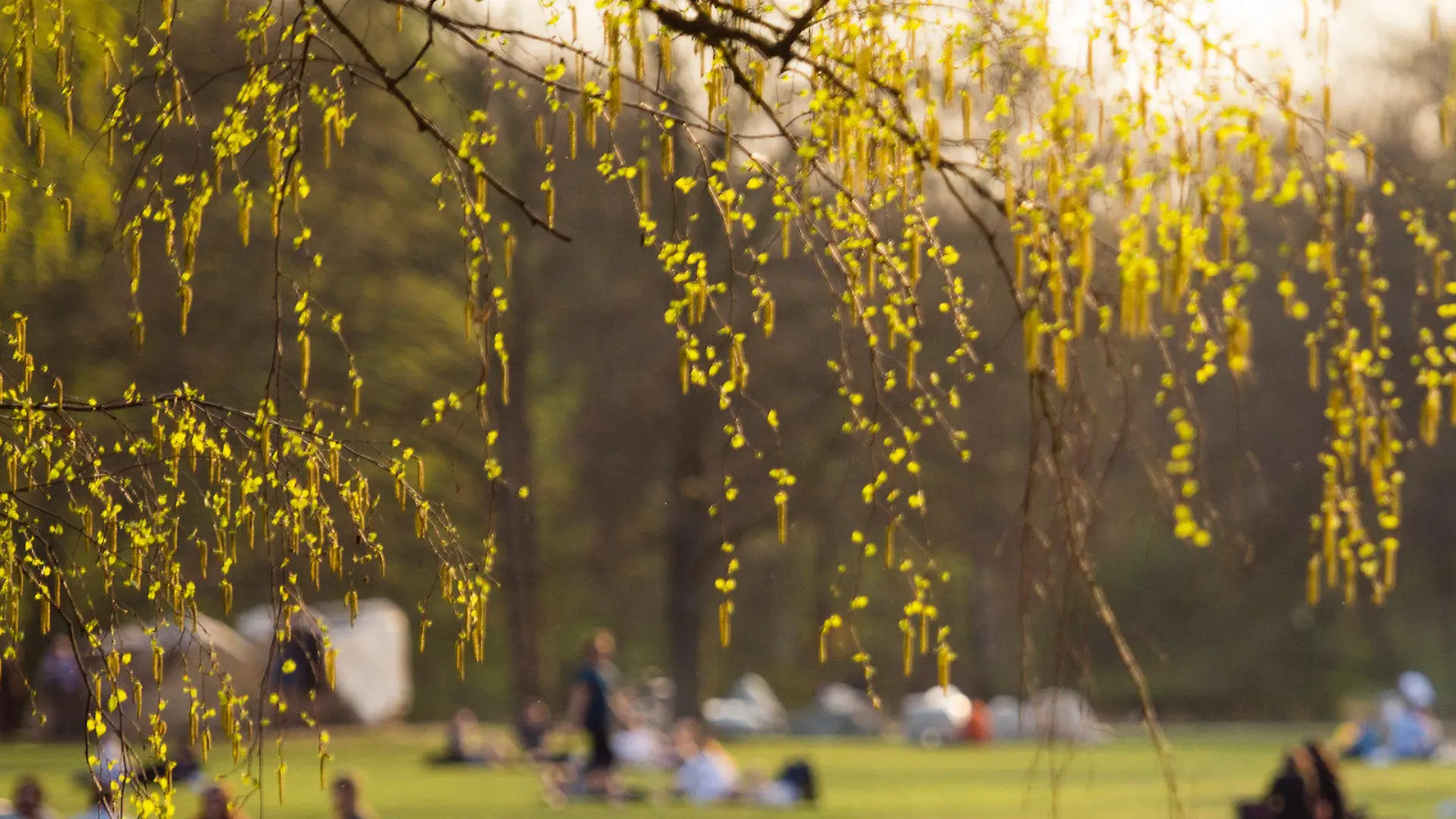 Berliner genießen am 01.04.2017 bei Temperaturen über 20 Grad Celcius die Sonne auf einer Wiese im Tiergarten in Berlin. Foto: Gregor Fischer/dpa +++(c) dpa - Bildfunk+++