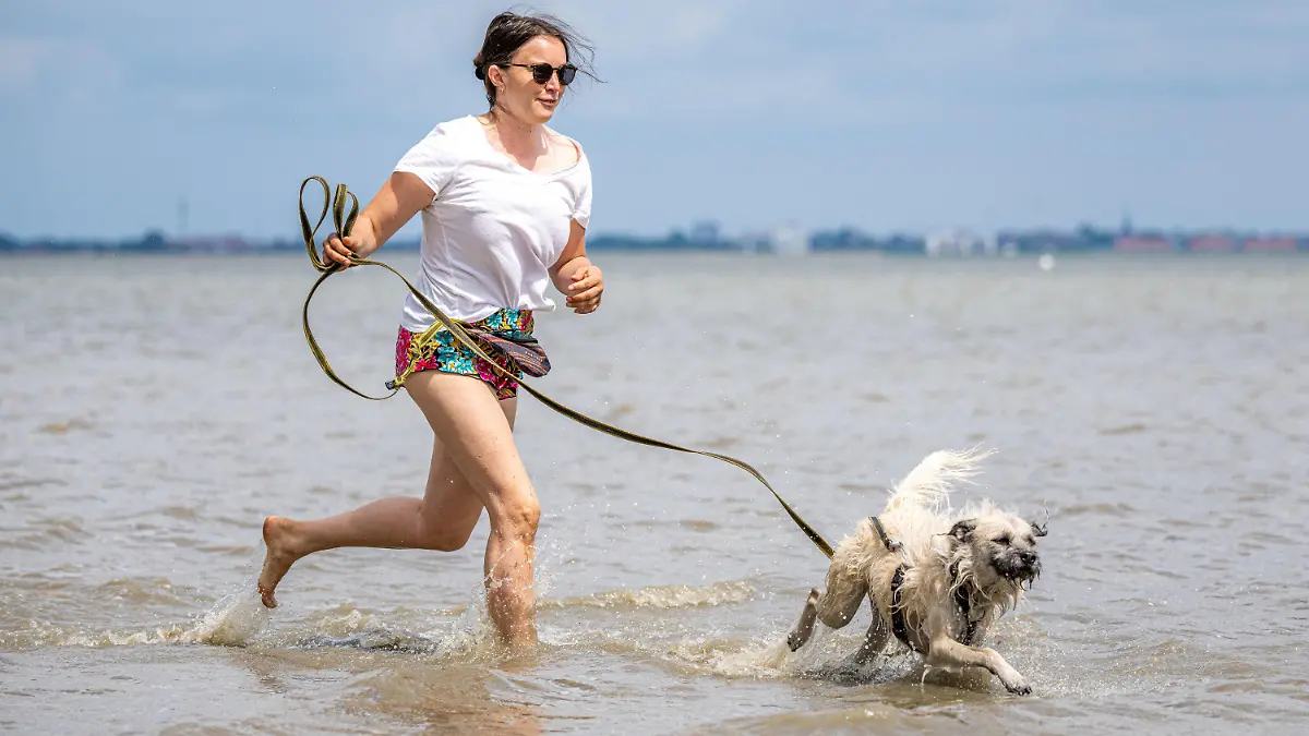 dpatopbilder - 26.06.2022, Niedersachsen, Dangast: Anneke aus Oldenburg läuft bei schönem Wetter mit ihrem dreijährigen Hund am Badestrand von Dangast im Wasser. Foto: Mohssen Assanimoghaddam/dpa +++ dpa-Bildfunk +++