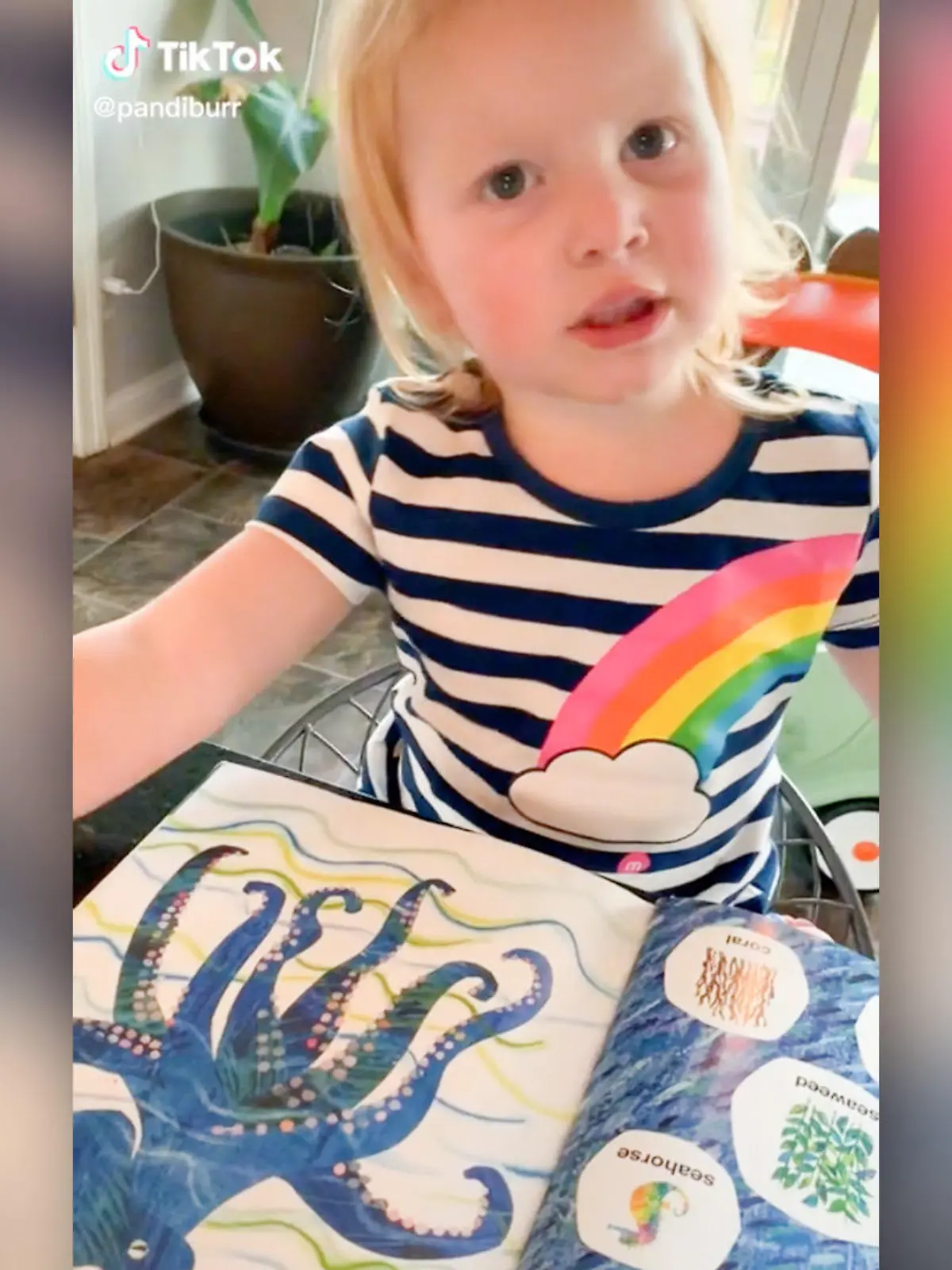 Isla McNabb (2) ist hochbegabt.