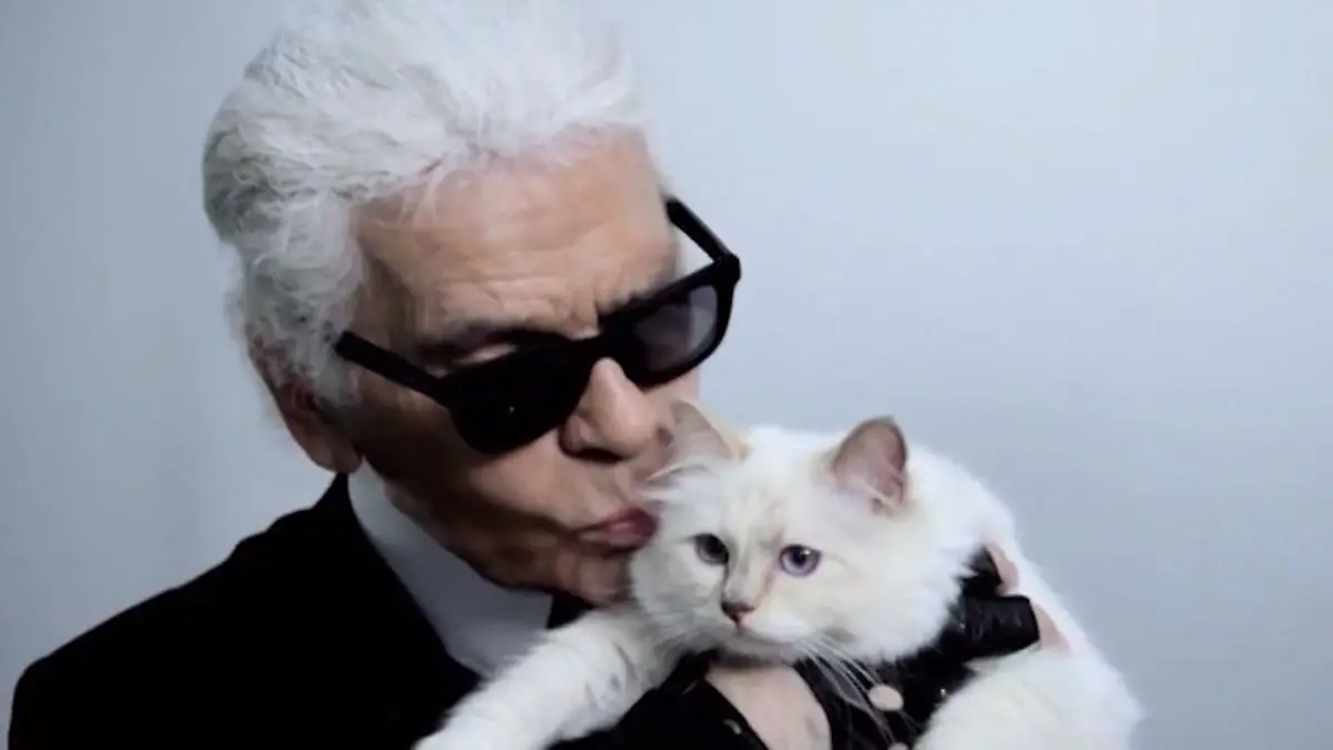 Karl Lagerfeld: Wo ist seine Katze Choupette? Fans in großer Sorge
