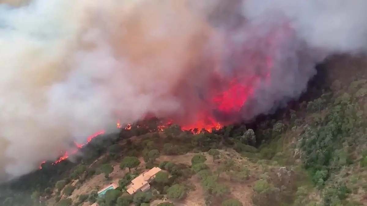 Waldbrand in Katalonien