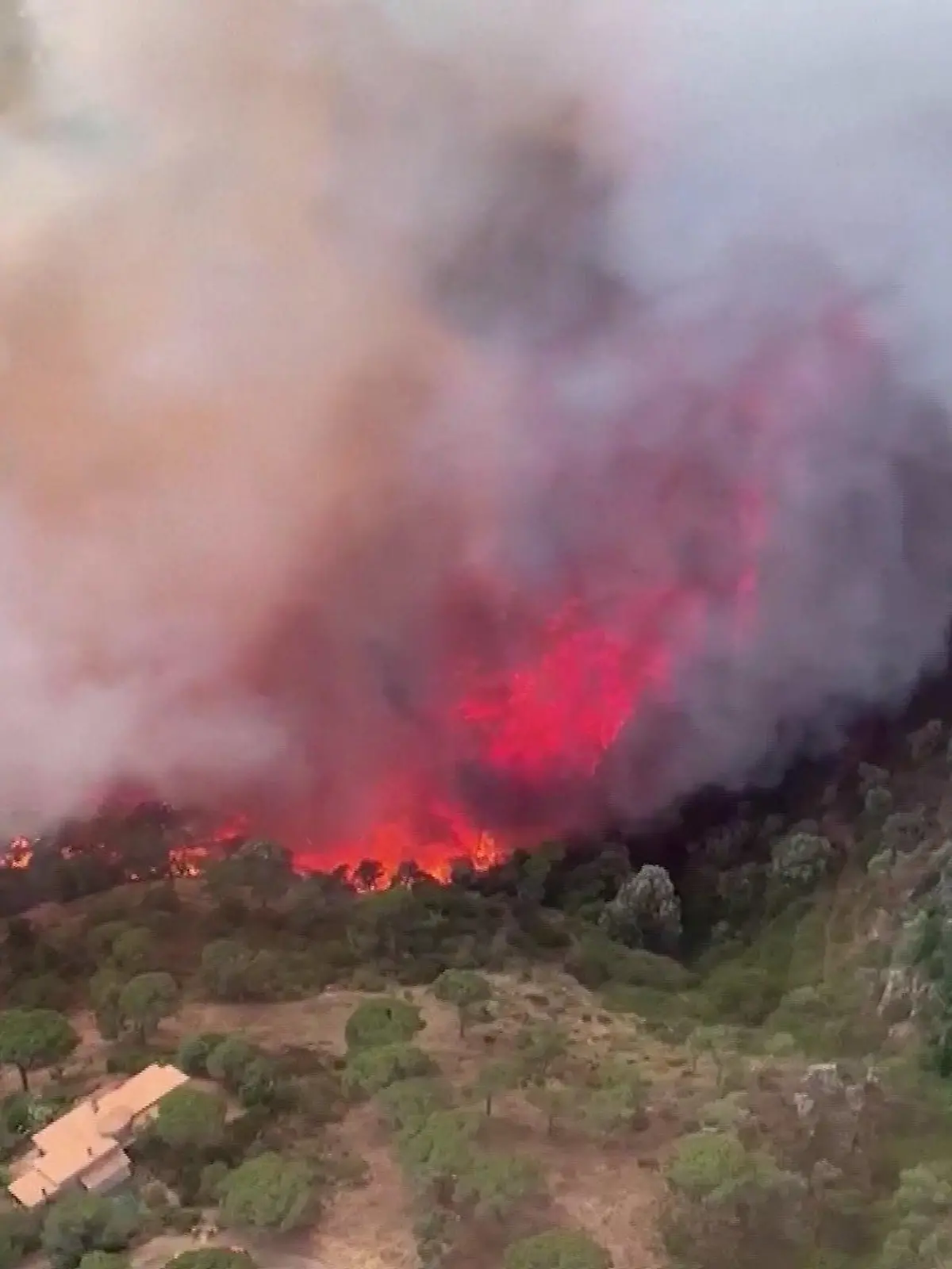 Waldbrand in Katalonien
