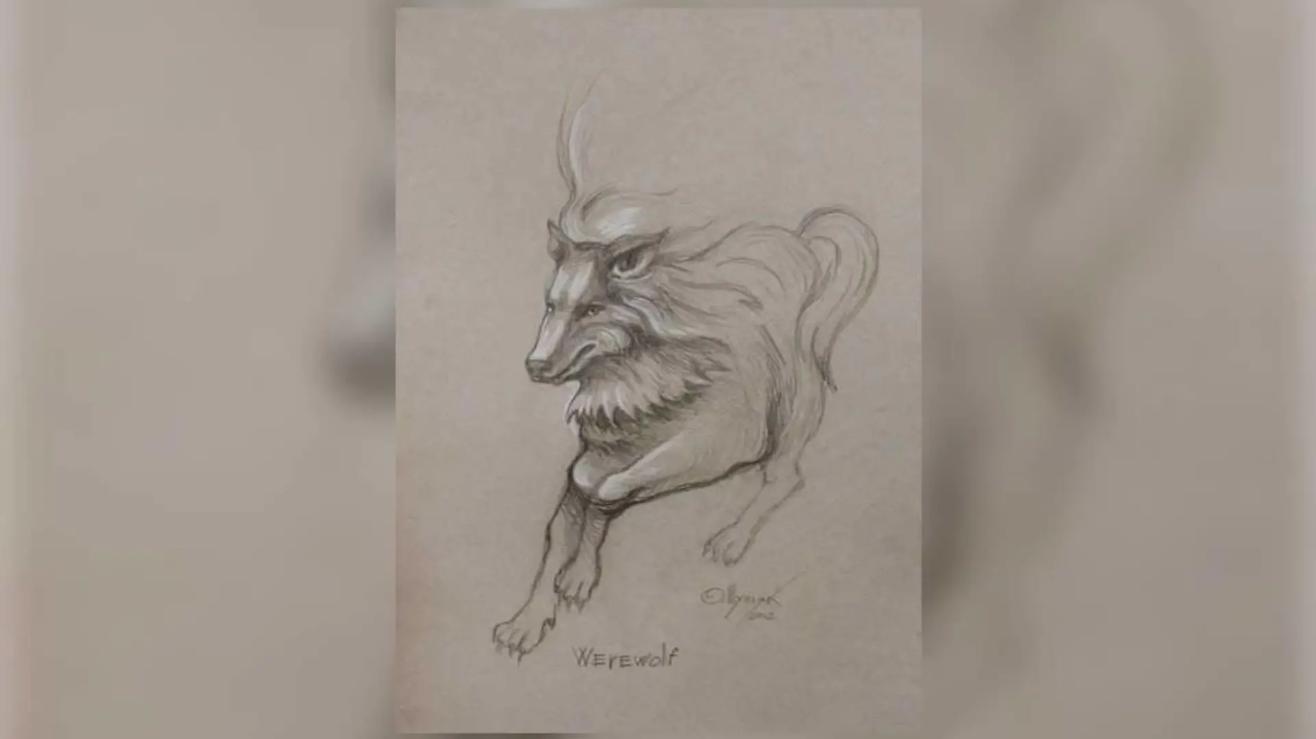 optische Täuschung Mann/Wolf