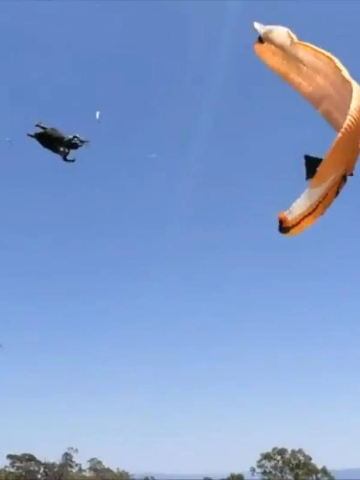 Bild zu: "Paraglider wird von Windhose mitgerissen"
