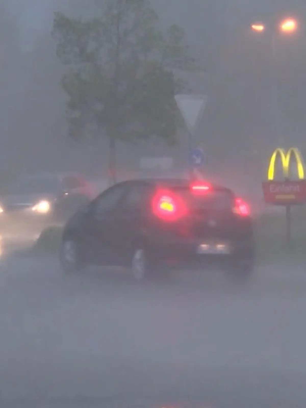 Bild zu: "Sturm und Dürre in Deutschland"