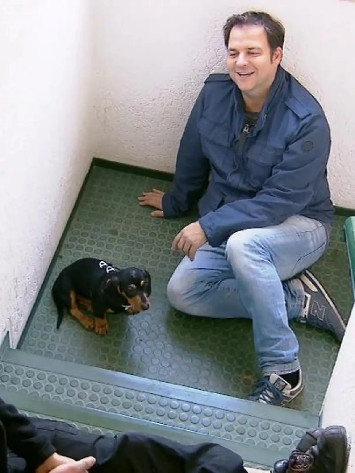 Bild zu: "Die Dackelwelpen lernen Treppenlaufen"