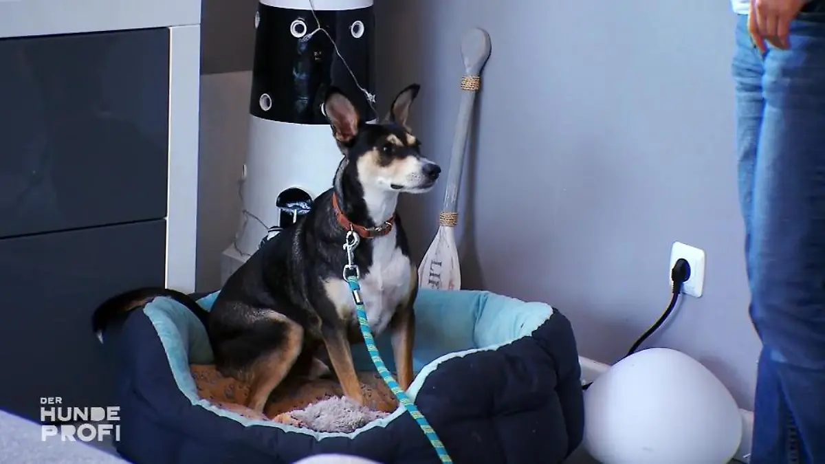 Kimmy lernt schnell Total entspannt