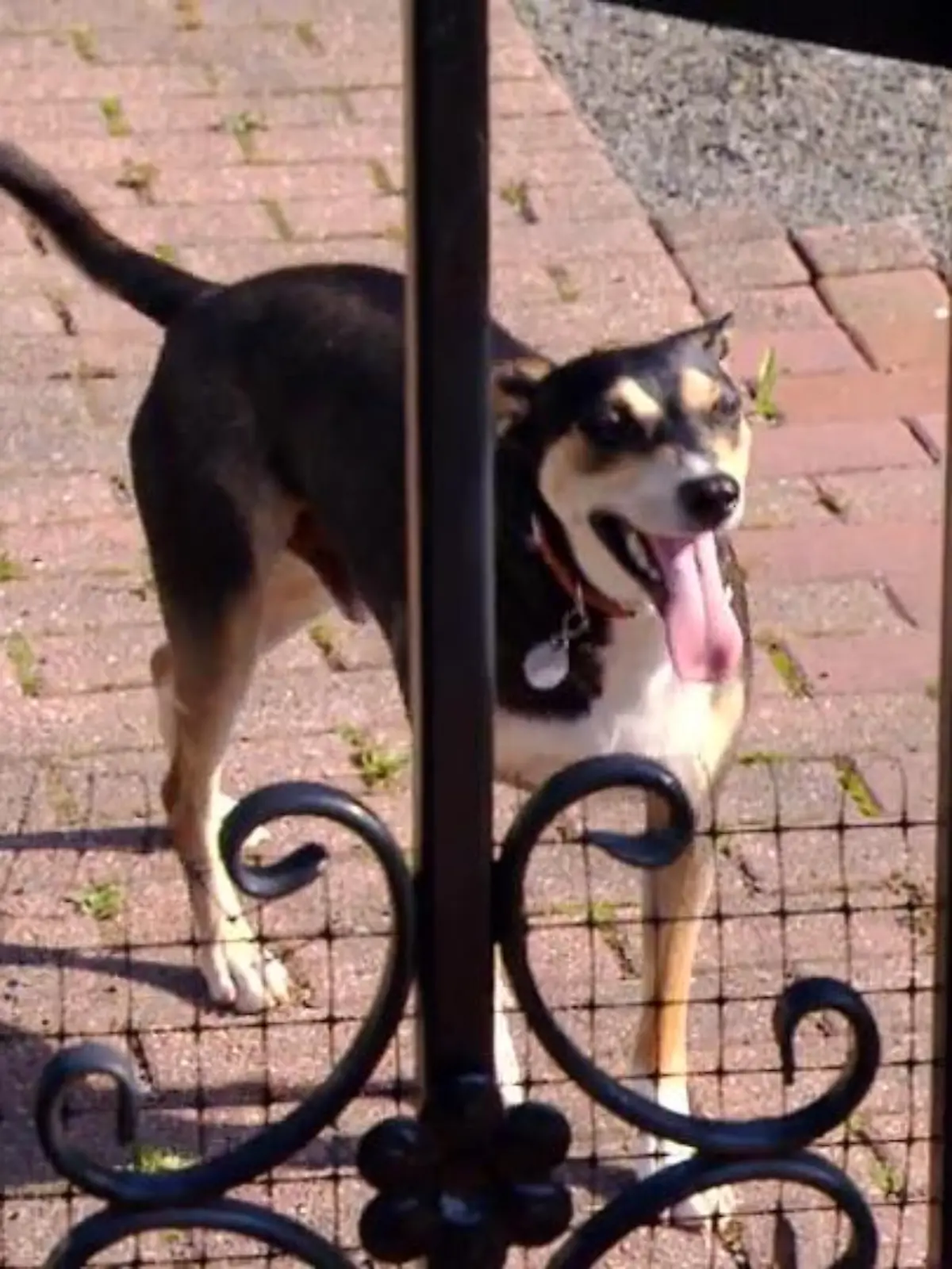 Bild zu: "Kimmy dreht sich im Kreis"