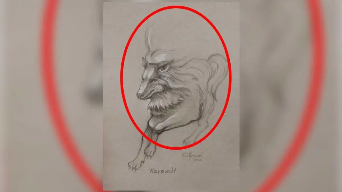 Auflösung Wolf/Mann