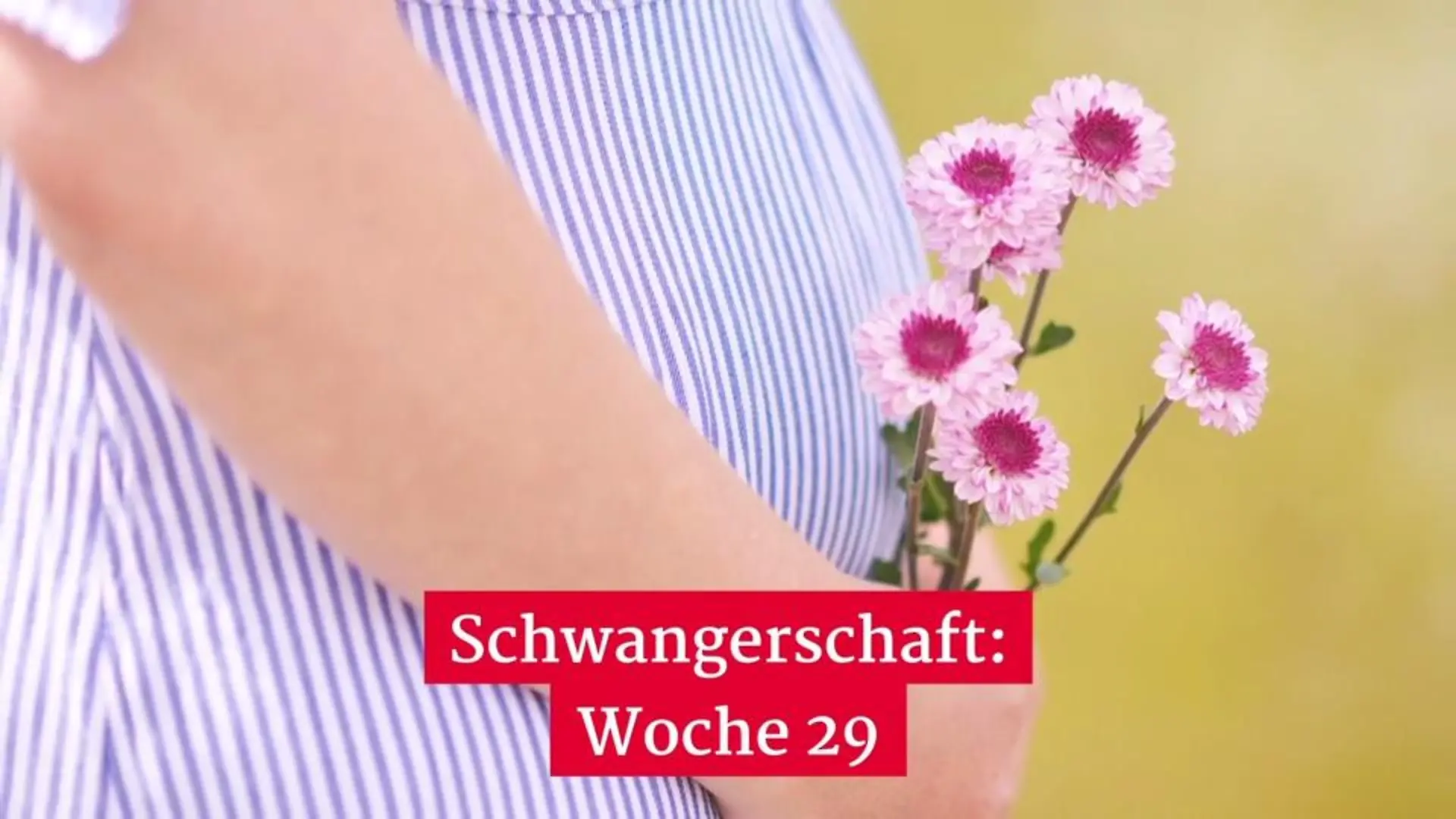 So entwickelt sich das Baby in SSW 29 Schwangerschaftswoche 29