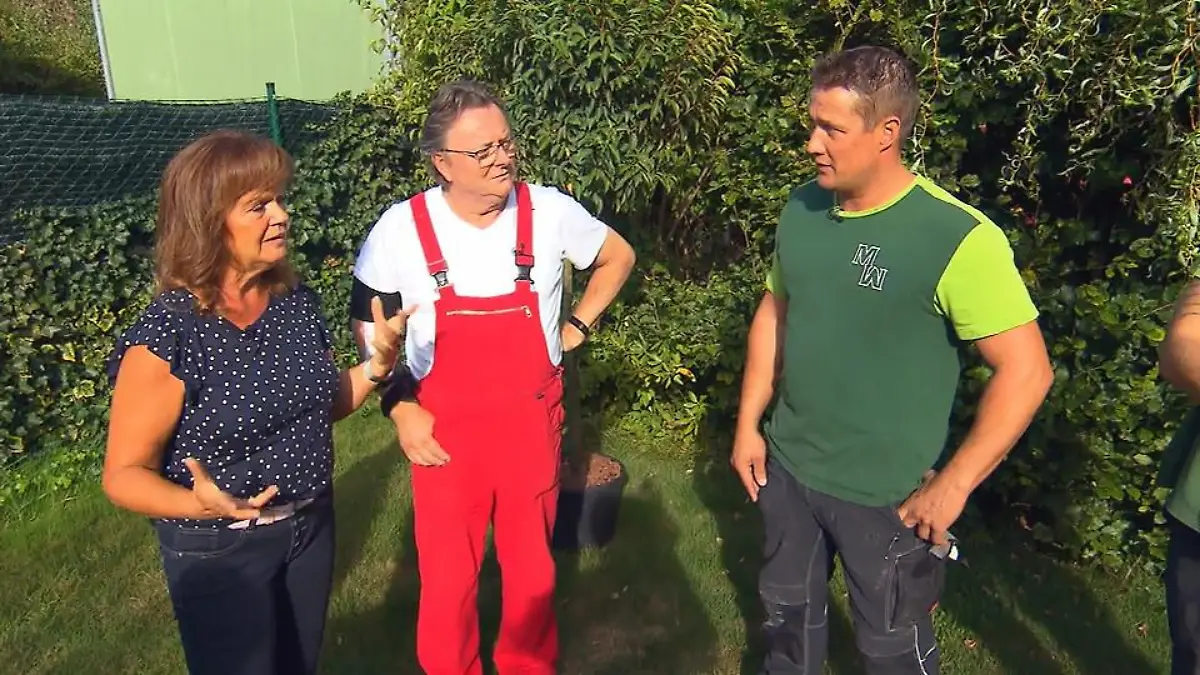 Hilfe von den Gartenprofis Die wissen, was sie tun