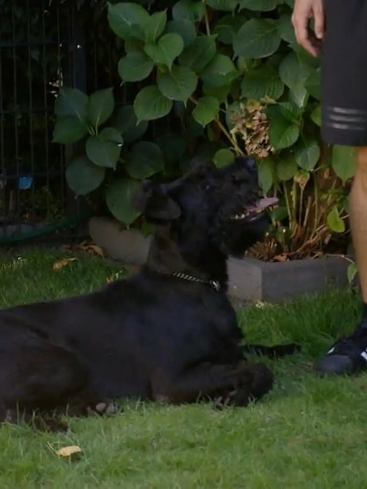 Bild zu: "Matty kommt seinem Ziel immer näher"