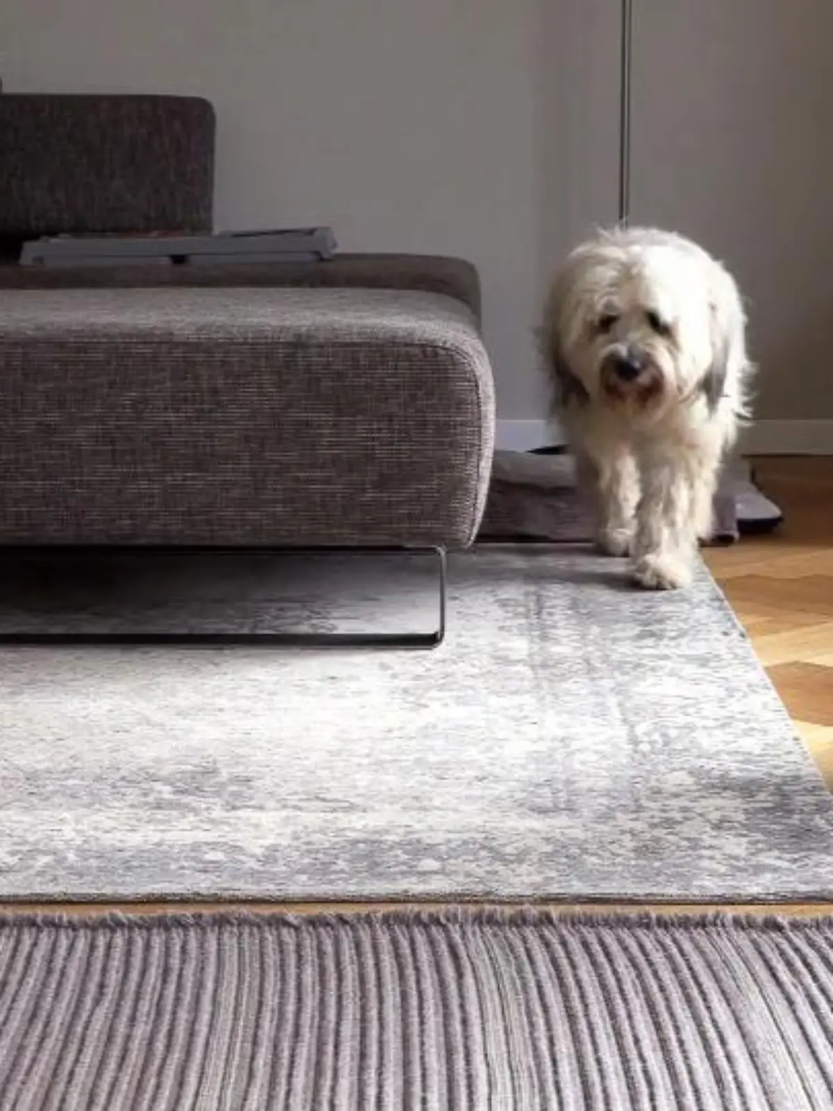 Bild zu: "6 Monate Training und noch nicht am Ziel"