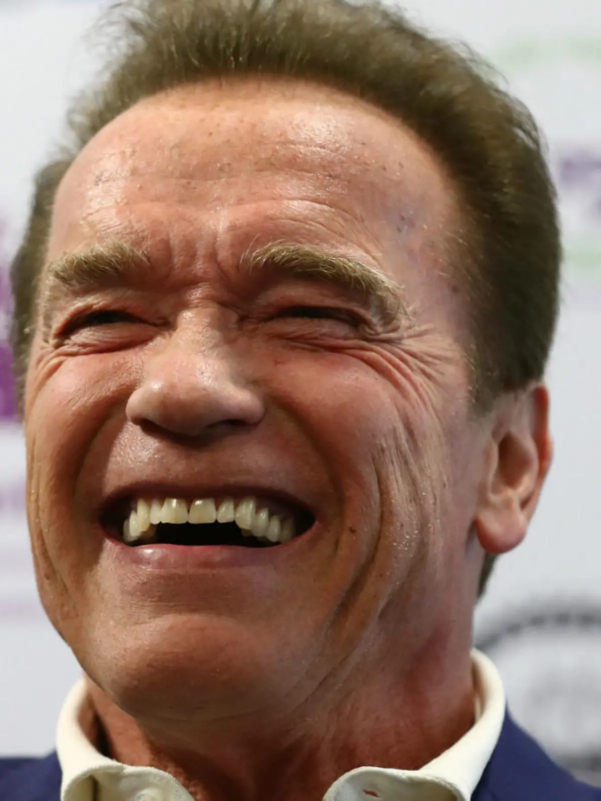 Bild zu: "Arnold Schwarzenegger scheucht sein Pony durch den Garten"