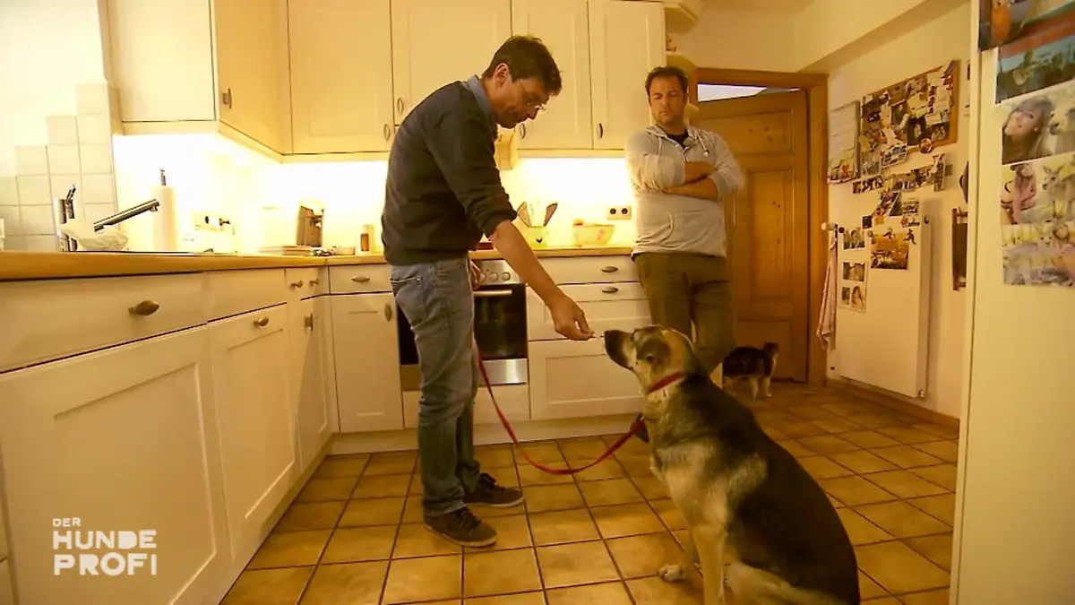 Kalle versucht Sofies Herz mit Leckerlis zu erobern Liebe geht durch den Magen