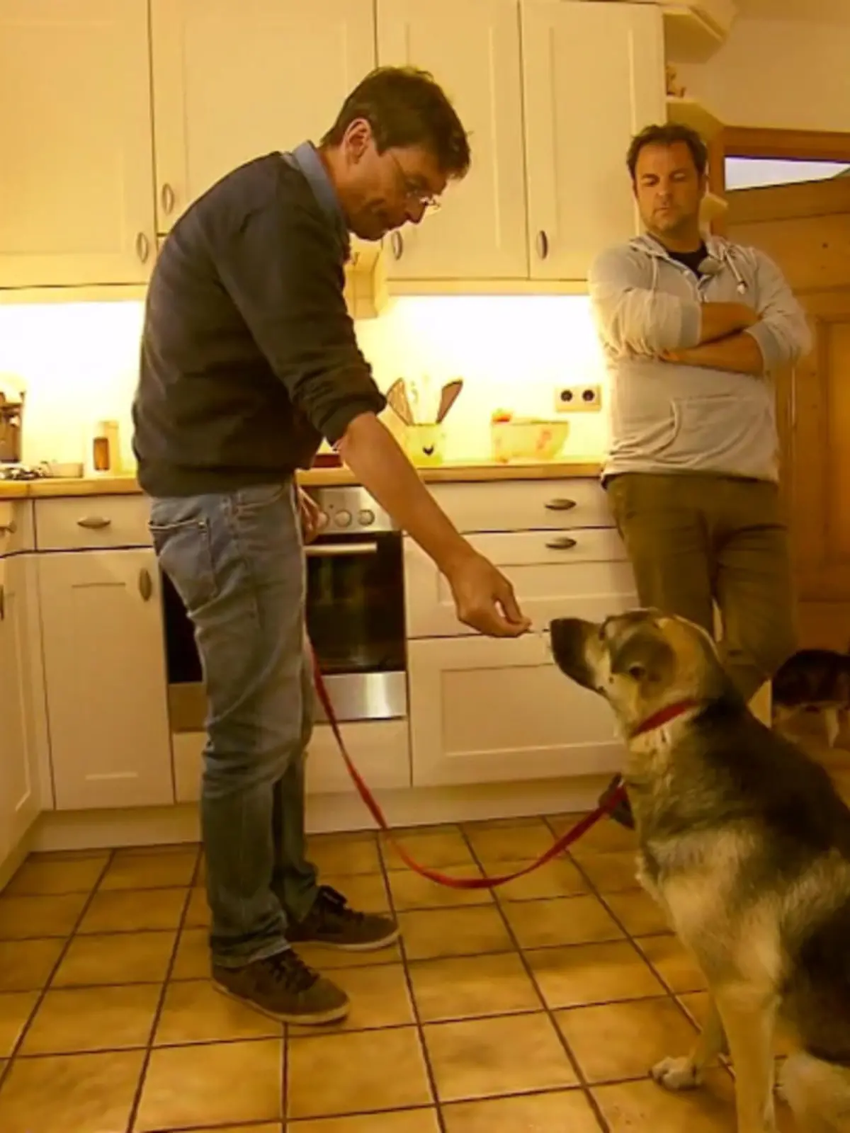 Bild zu: "Kalle versucht Sofies Herz mit Leckerlis zu erobern"