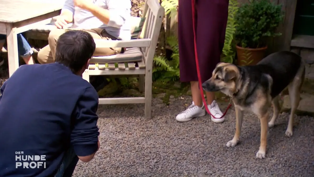 Sofie ist skeptisch gegenüber Menschen Kein Vertrauen