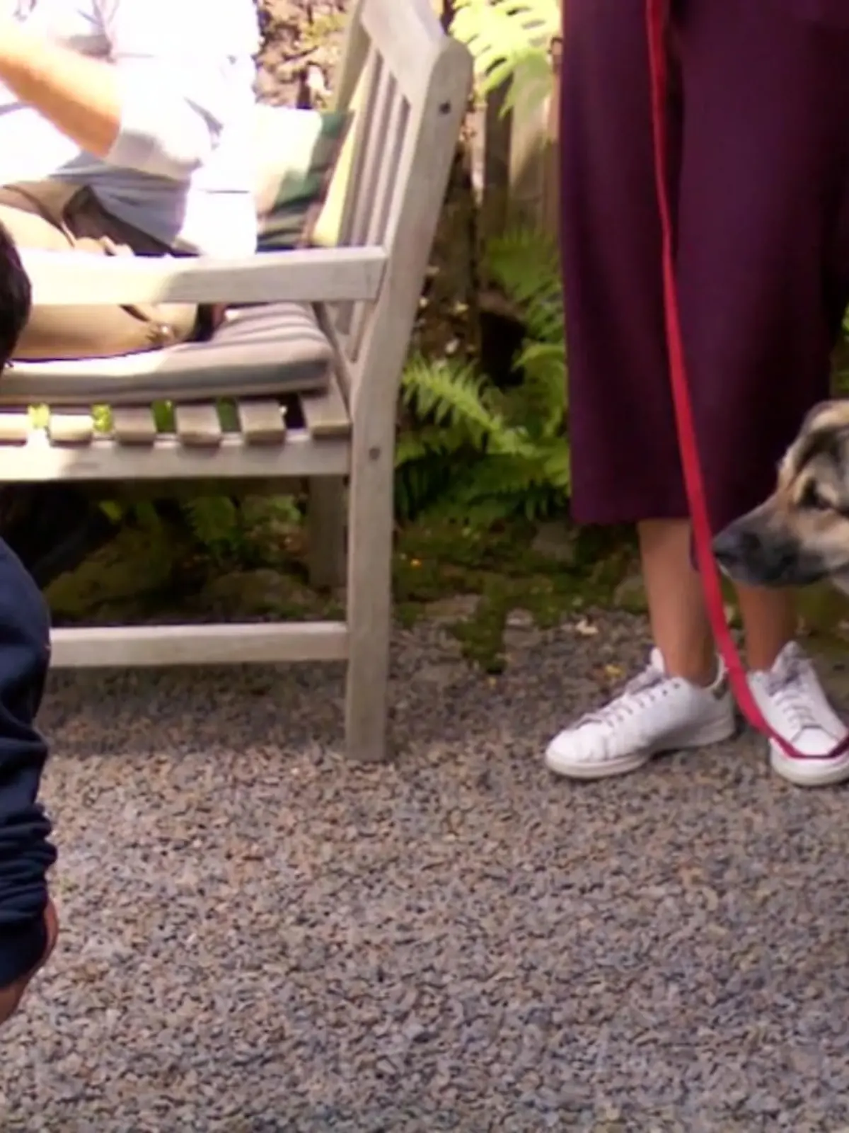 Bild zu: "Sofie ist skeptisch gegenüber Menschen"