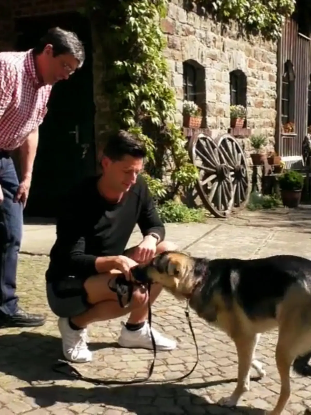 Bild zu: "Hündin Sofie hat Angst vor ihrem Herrchen"