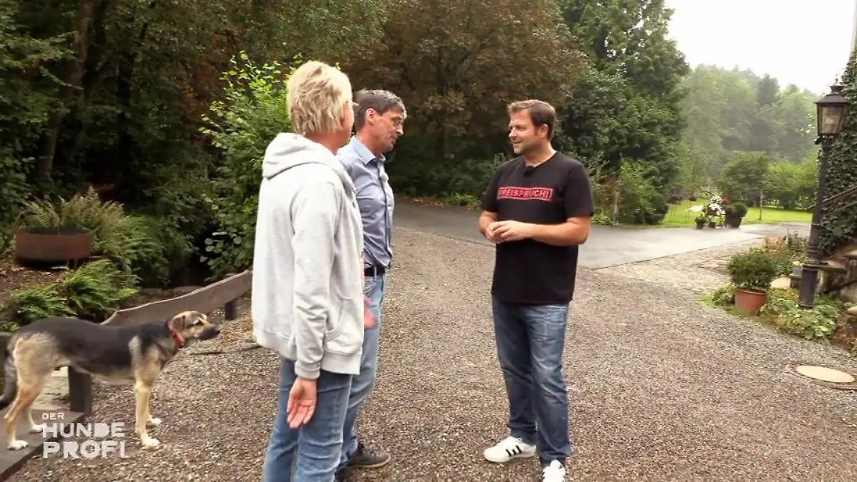 Gibt es Fortschritte bei Kalle und Hündin Sofie? Martin Rütter ist gespannt