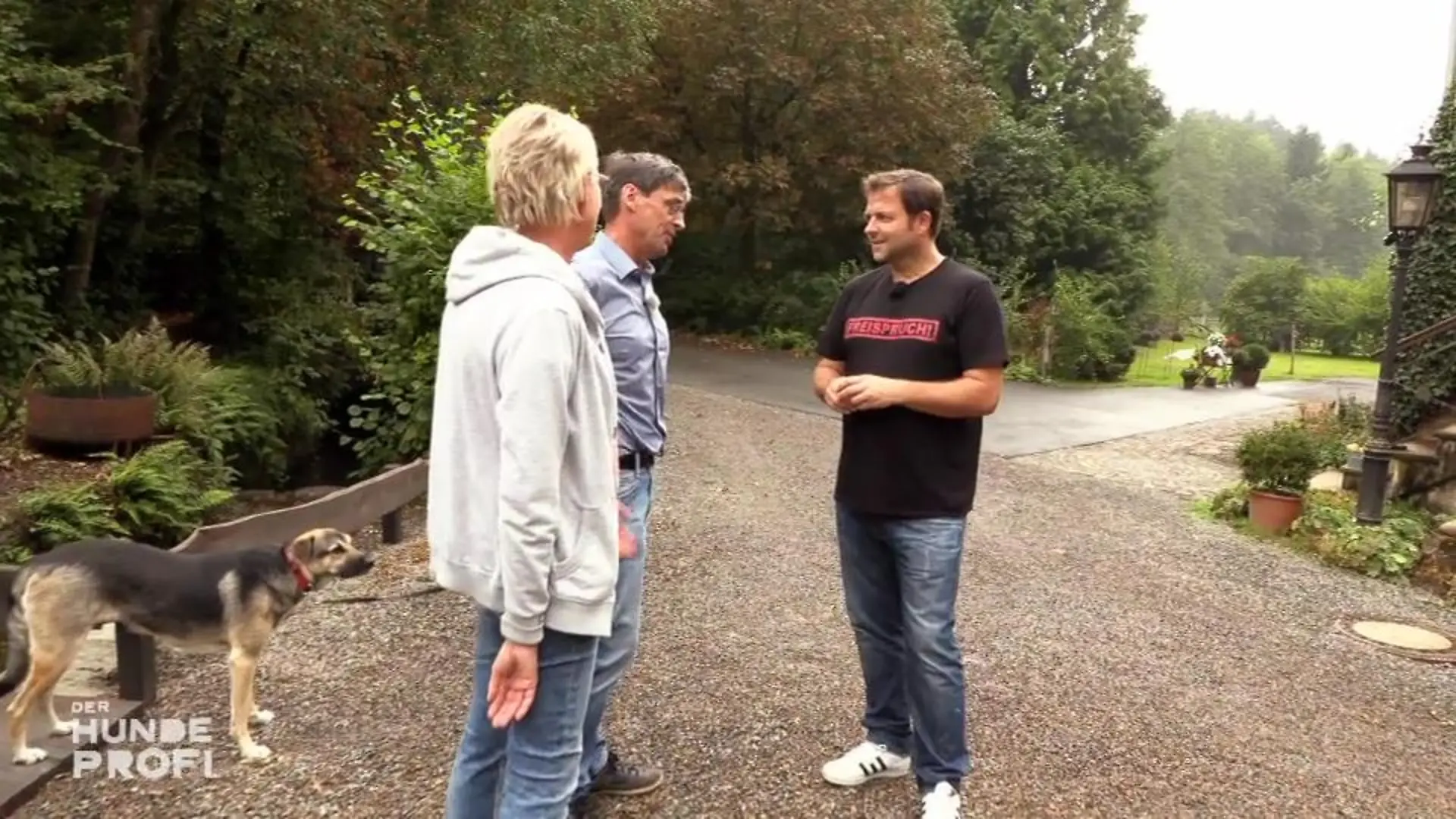 Gibt es Fortschritte bei Kalle und Hündin Sofie? Martin Rütter ist gespannt