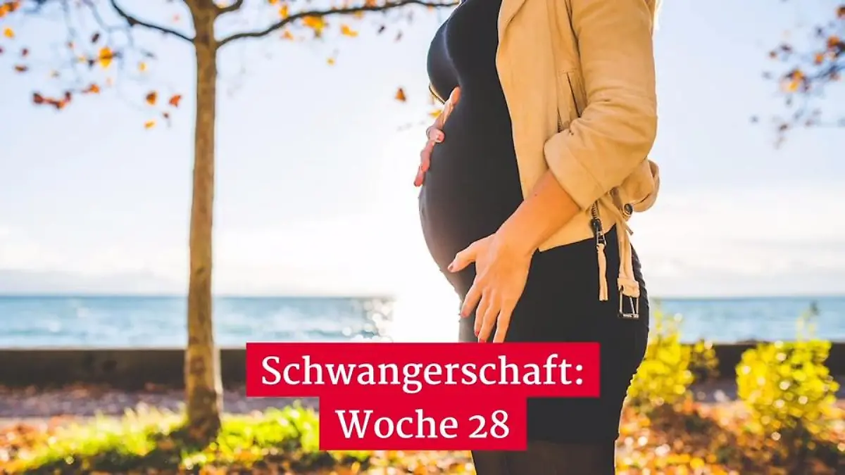28. Schwangerschaftswoche (SSW) Das 3. Trimester beginnt