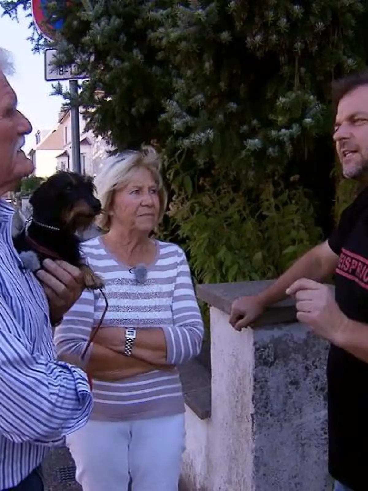 Bild zu: "Werner und Erika müssen jetzt ignorieren lernen"