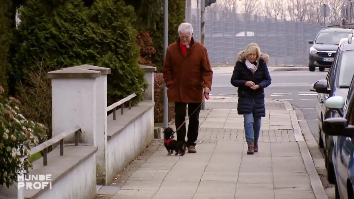 Ist hier endlich Ruhe beim Spazierengehen? Training hat sich gelohnt