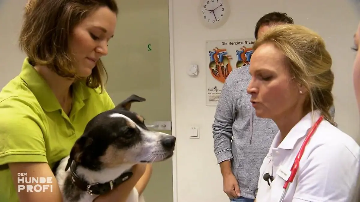 Martin Rütters Verdacht hat sich bestätigt Infektion ist Schuld