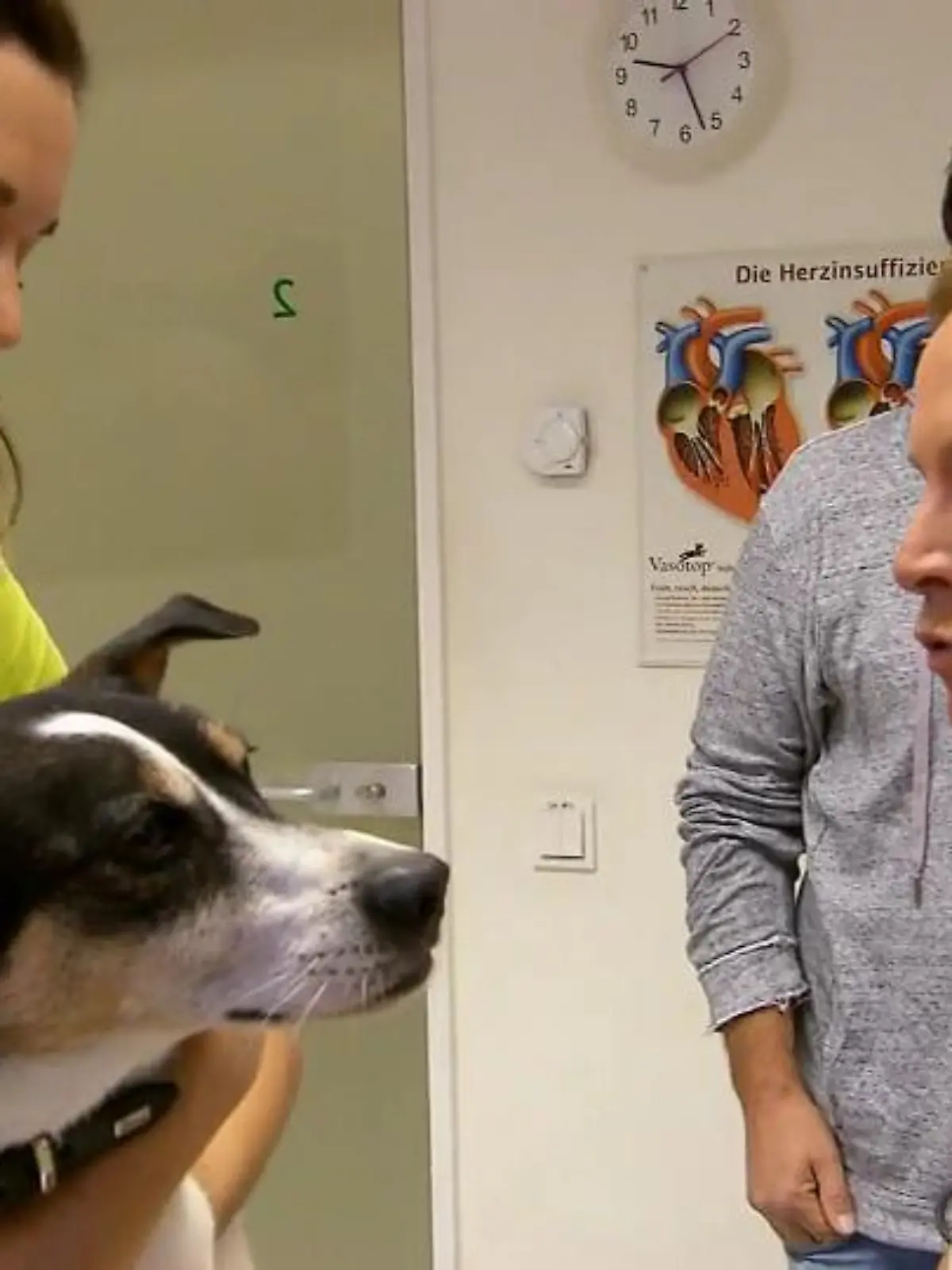 Bild zu: "Martin Rütters Verdacht hat sich bestätigt"