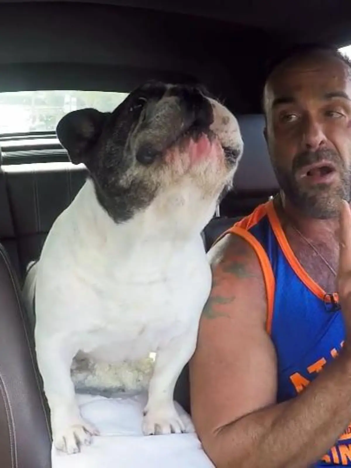 Bild zu: "Neues Video mit Junior"