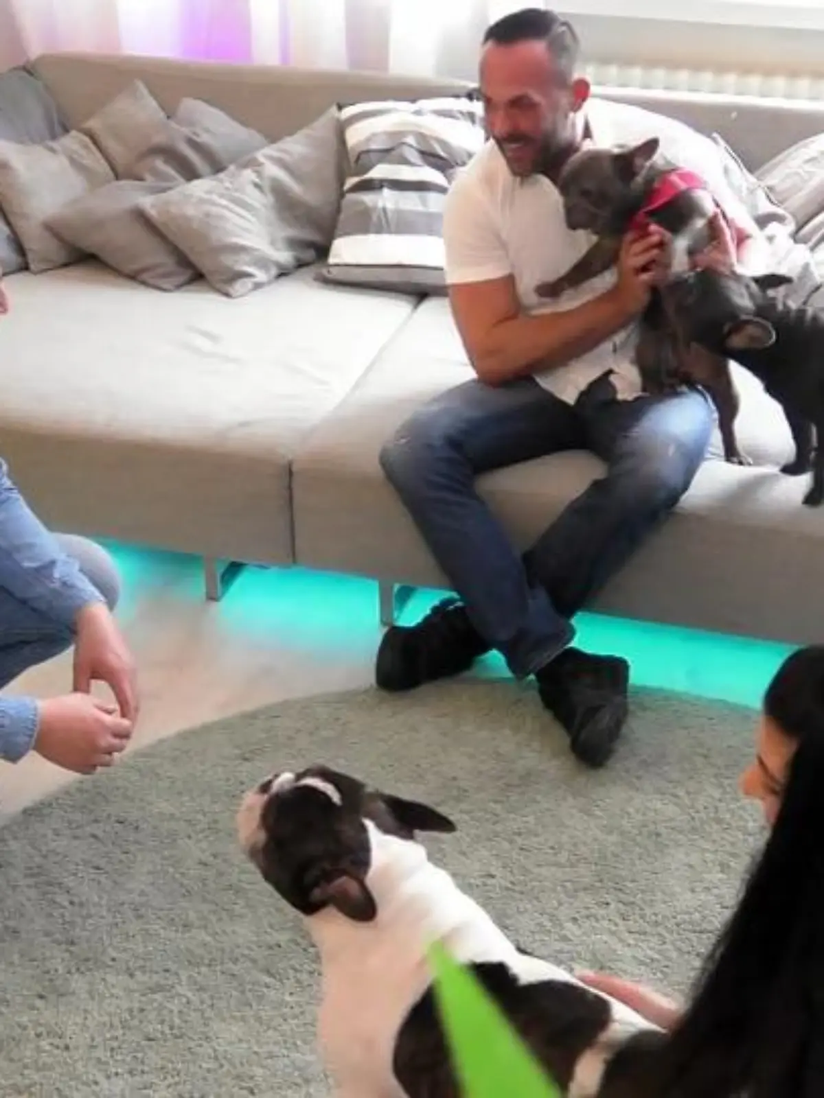 Bild zu: "Hundepapas holen sich Tipps zur Hundezucht"