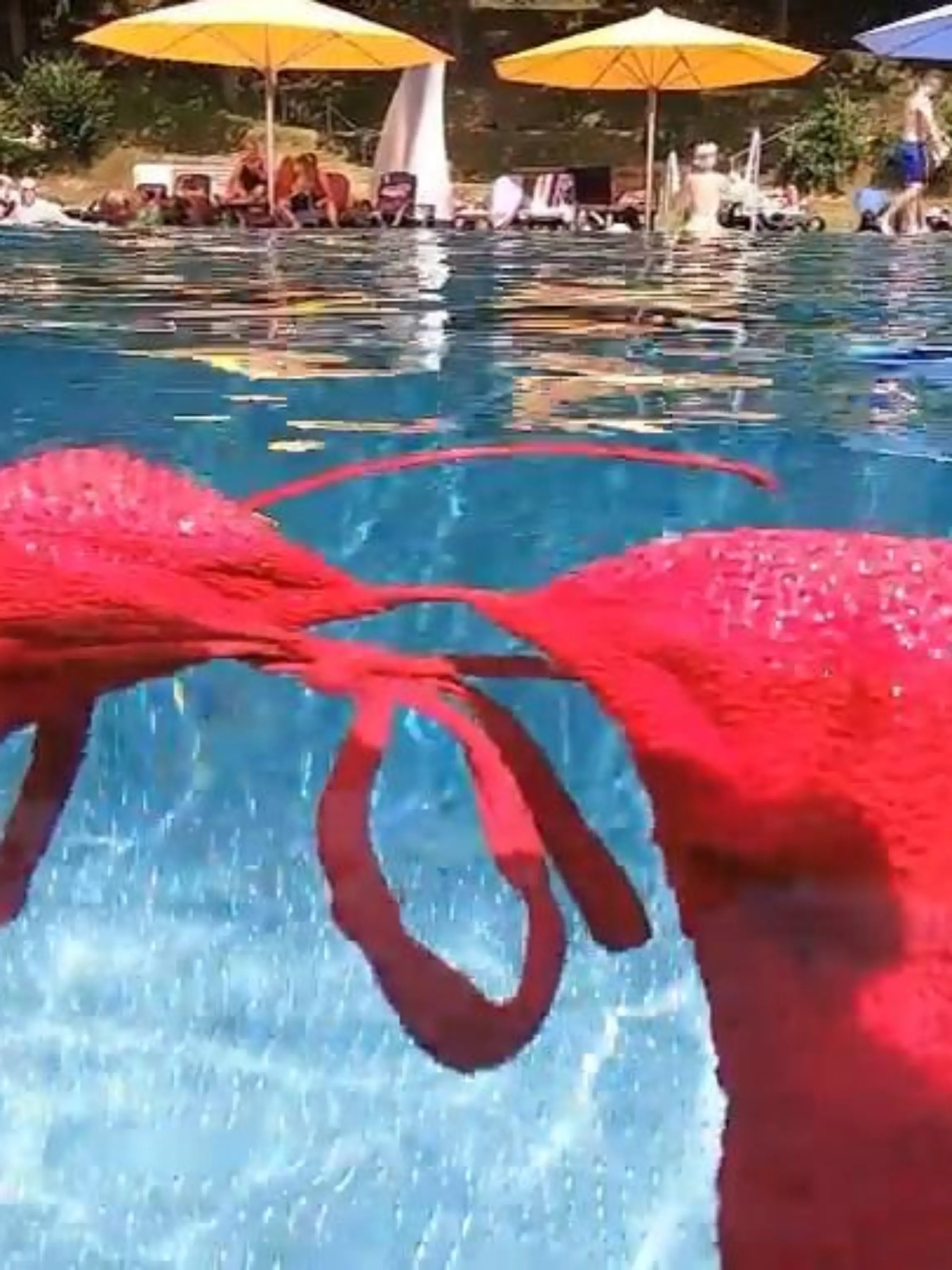 „Oben ohne“ ins Freibad – bald schon nicht mehr nur für Männer selbstverständlich. In Wiesbaden könnte das Ganze bald schon Realität werden. Aktuell wird über die oberkörperfreie Schwimmbadnutzung allerdings noch fleißig diskutiert. Woher dieser Sinneswandel kommt und was es damit auf sich hat, erfahrt ihr im Video.