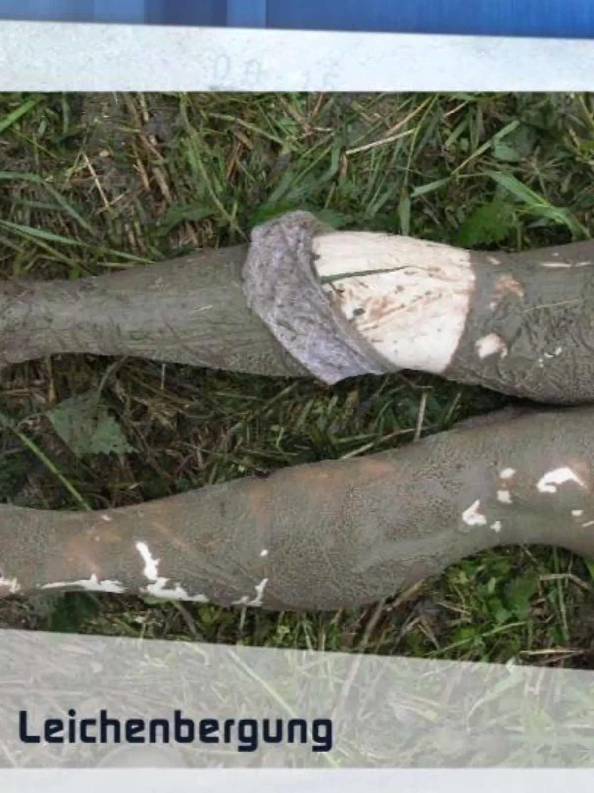 Bild zu: "Eine junge Frau wird kurz vor der Trauung ermordet"