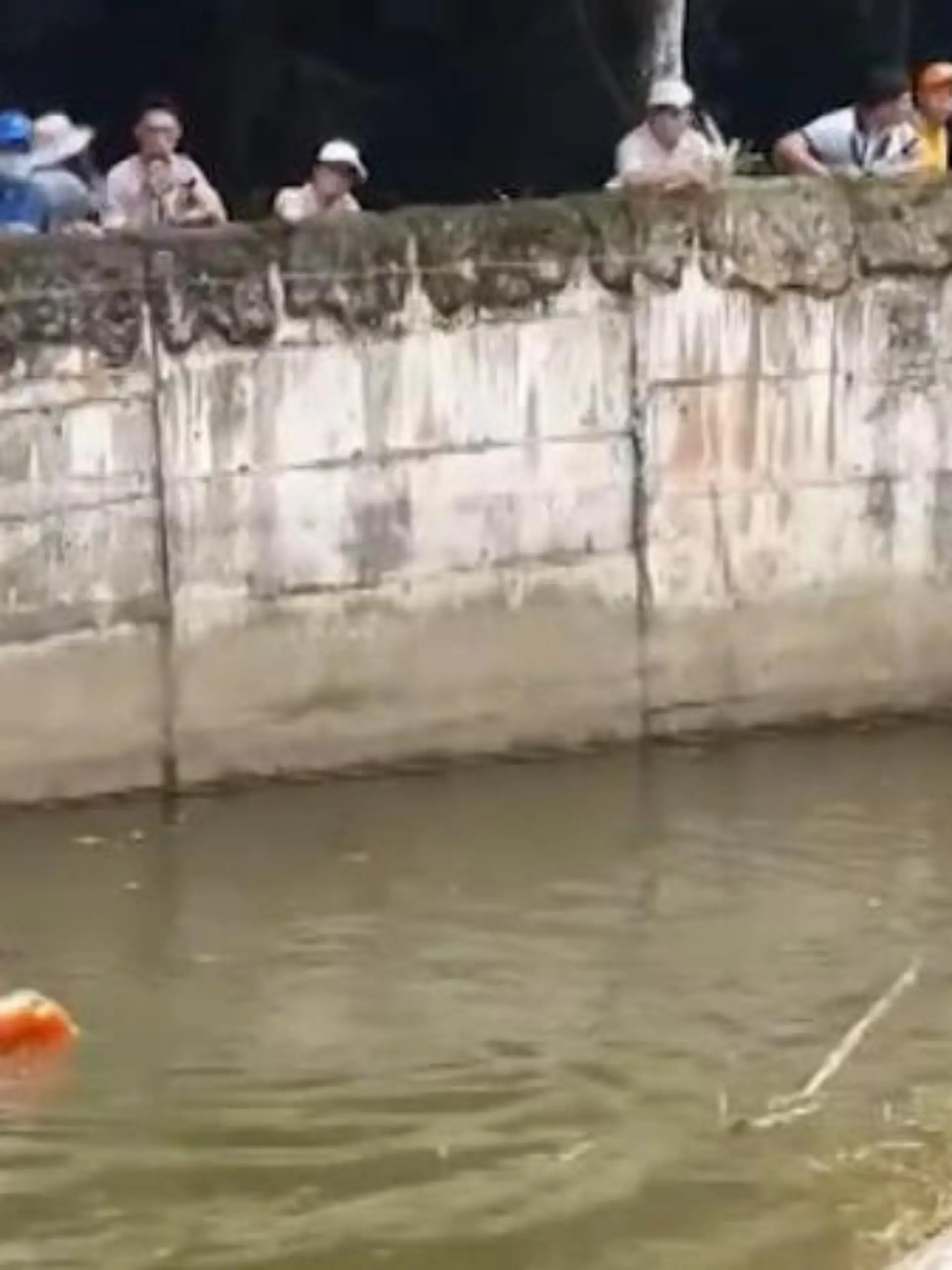 In einem Safari Park kommt es zu dramatischen Szenen: Ein Orang- Utan versucht sich Futter aus dem Wasser zu angeln und fällt plötzlich die steile Böschung hinab – das Tier kann nicht schwimmen und droht zu ertrinken. Doch dann kommt mutige Hilfe!