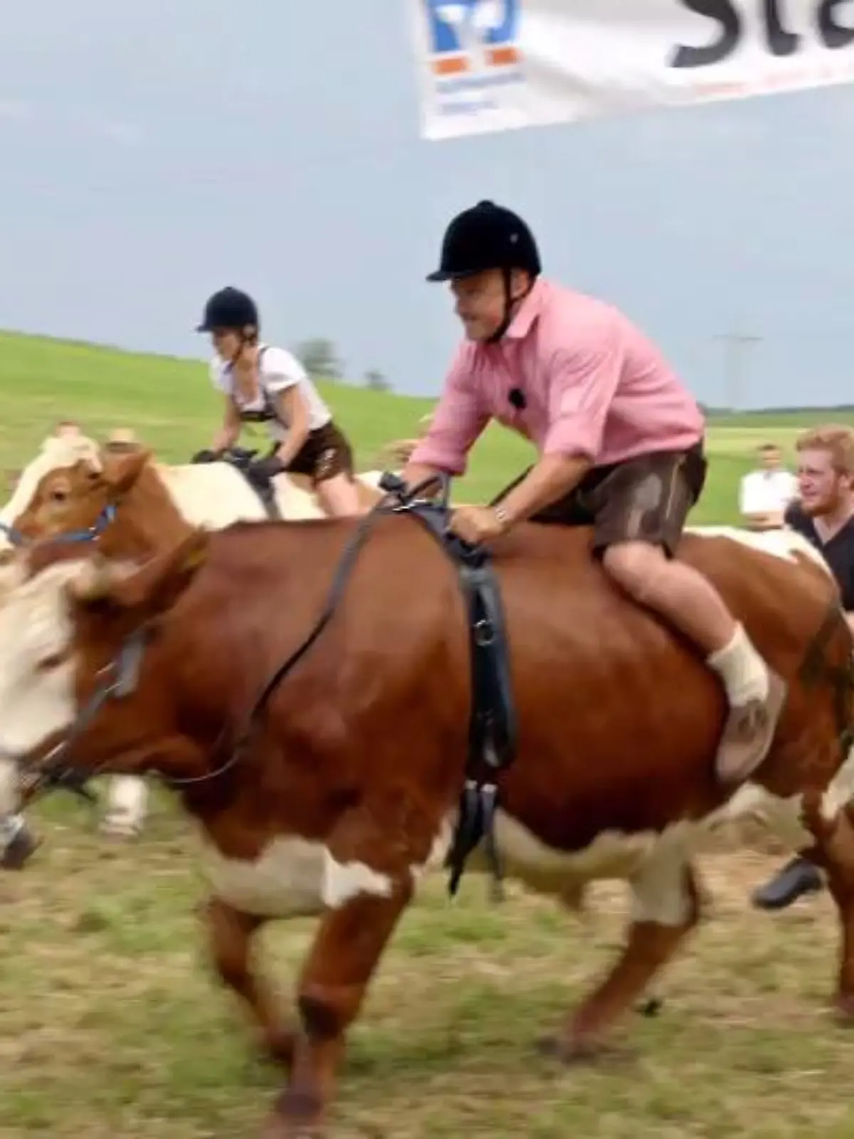 Bild zu: "Detlefs Ochse hat die Nase vorn"