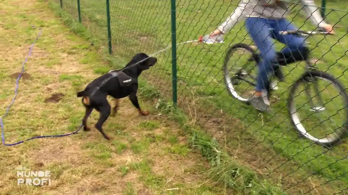 Für Sam gibt's jetzt kalte Duschen Hilft das?