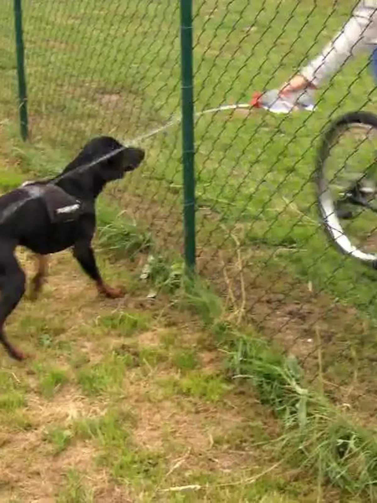 Bild zu: "Für Sam gibt's jetzt kalte Duschen"