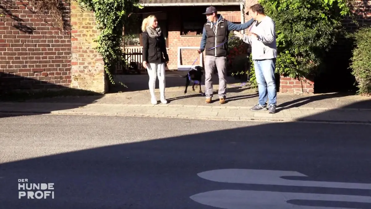 Wildfang Sam ist nun richtig ausgelastet Alles im Griff