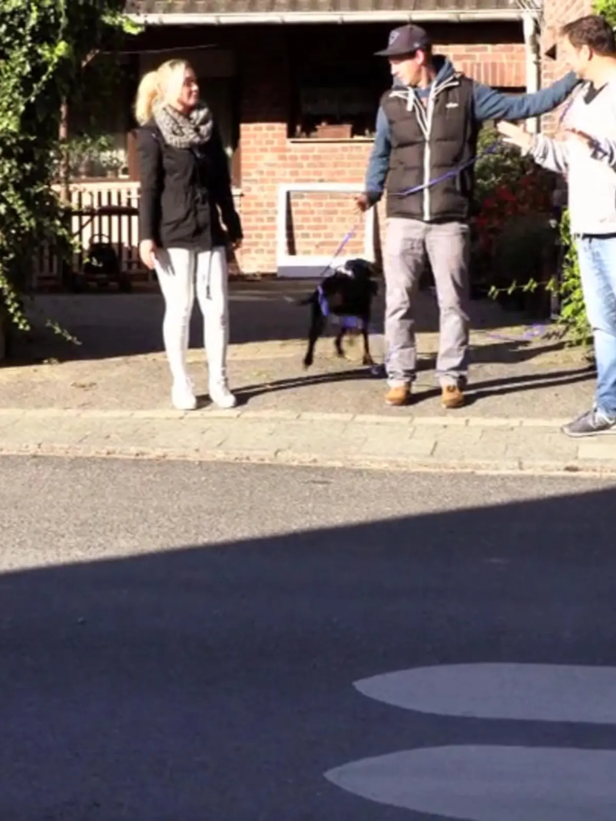 Bild zu: "Wildfang Sam ist nun richtig ausgelastet"