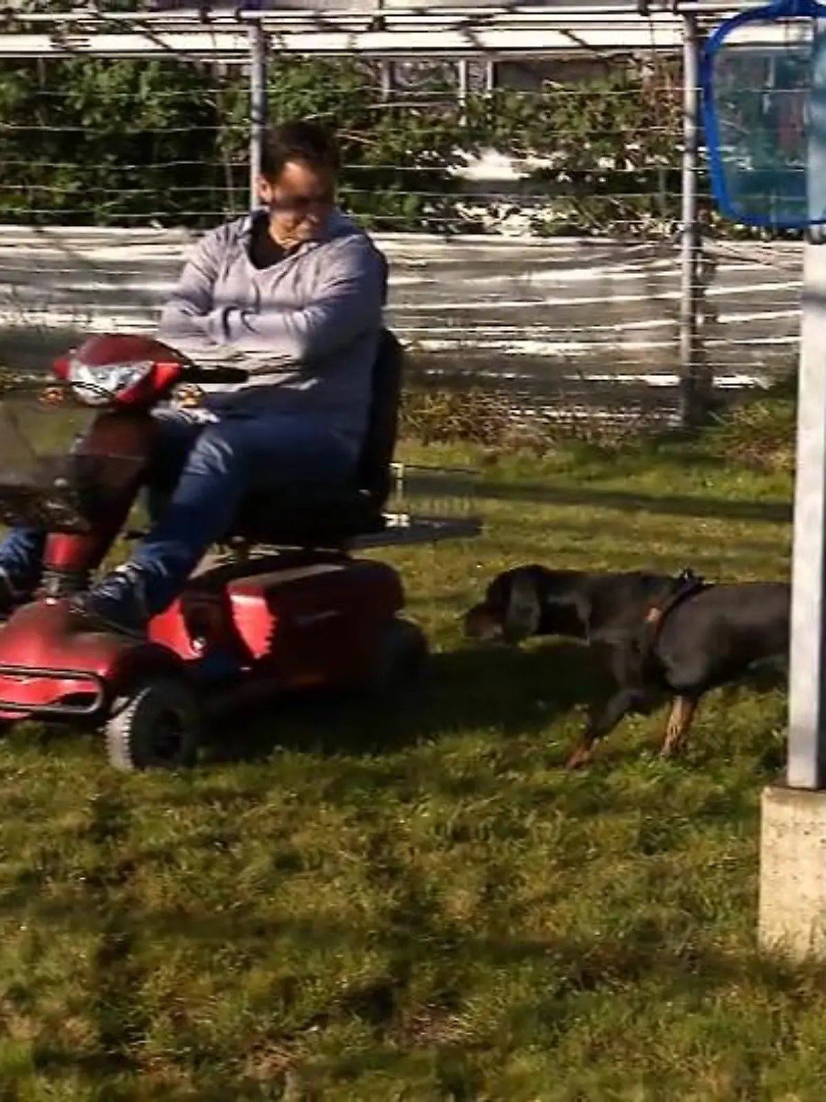 Bild zu: "Sams Training wird heute auf die Probe gestellt"