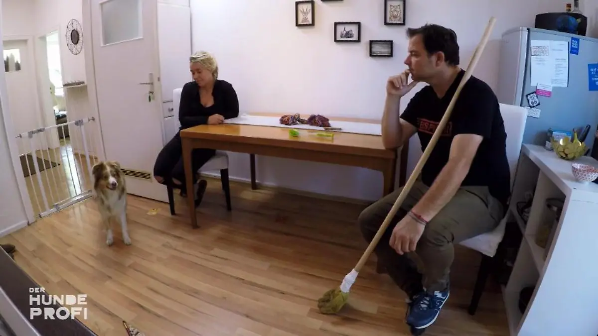 Was tun mit einem schwer verunsicherten Hund? Marens Zukunft