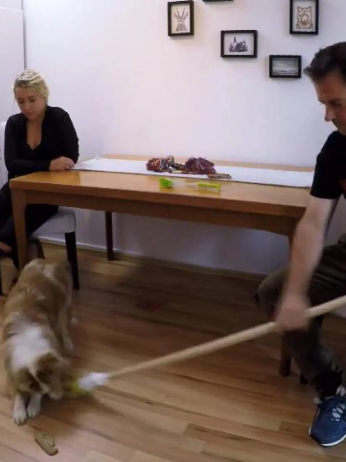 Bild zu: "Wie reagiert Milow auf Martin Rütters Sticheleien?"