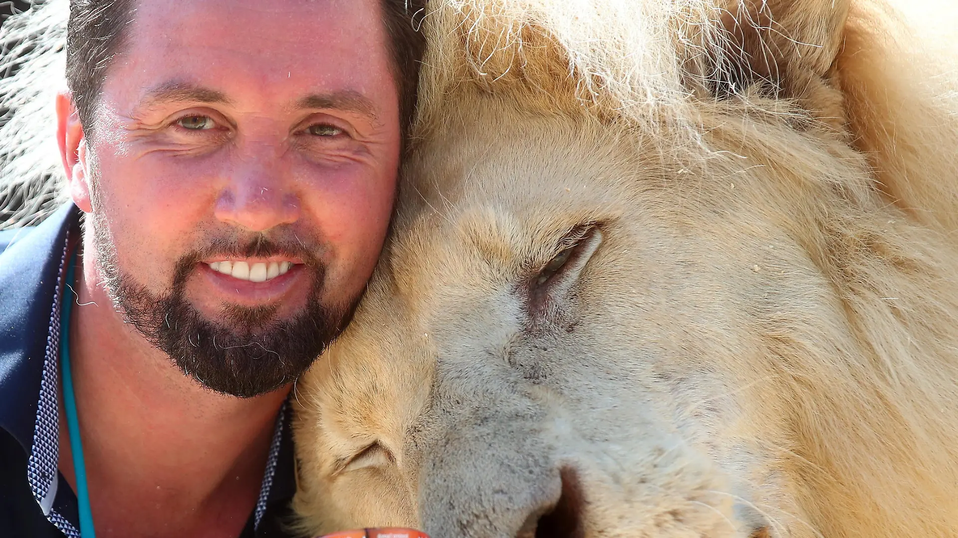 Lion tamer Martin Lacey poses with Lion King Tonga and a glass of lion droppings, which Circus Krone sells amid the coronavirus disease (COVID-19) pandemic, in Munich, Germany, August 10, 2020. Circus Krone is selling the product to be used as a household remedy to keep other wild animals away and sales should make up for the financial losses the circus suffered during the Corona crisis. REUTERS/Michael Dalder