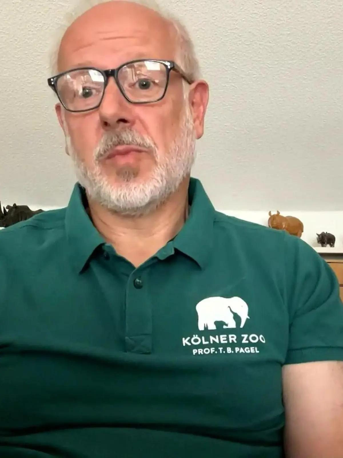 Eine Löwin streift durch die Wälder in Brandenburg. Ein Mensch ist für das Tier eine leichte Beute - und Hunde ebenso! "Ich würde das Gebiet meiden", sagt Theo Pagel vom Zoo Köln.