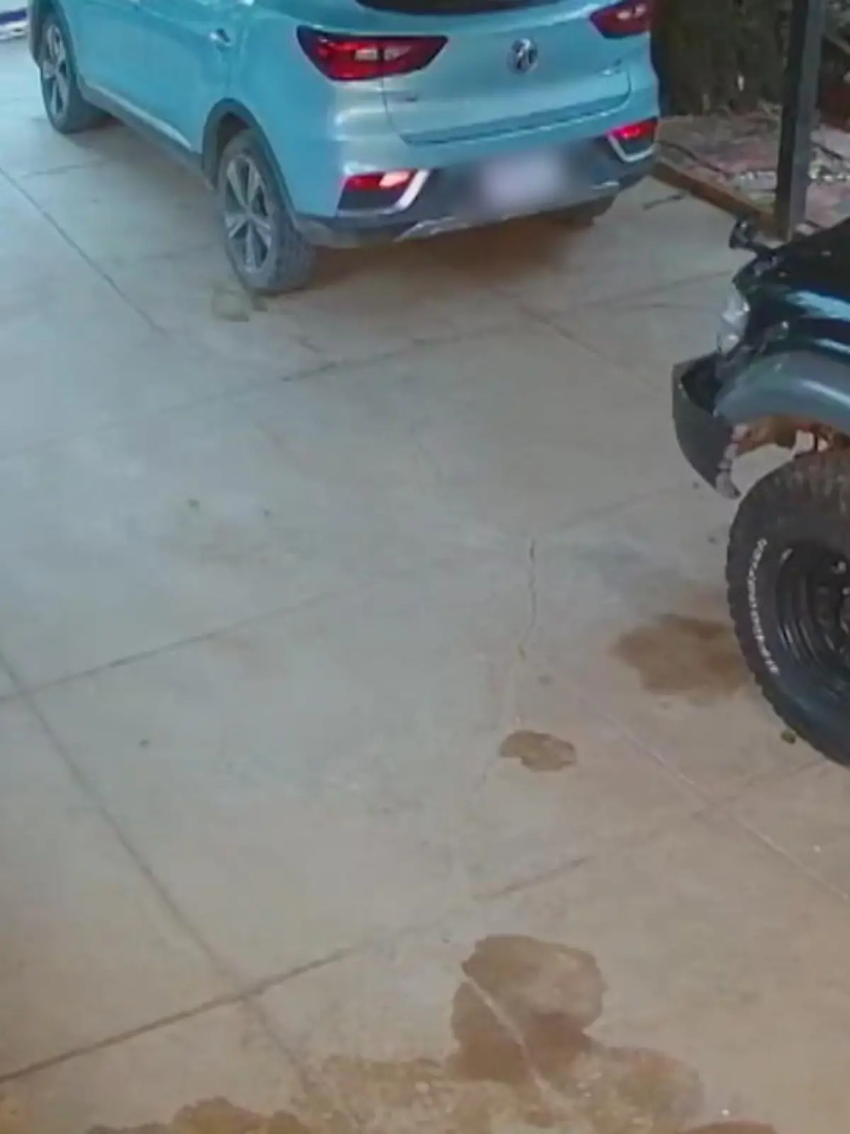 In Thailand hat eine Frau einen Besen aus der Garage geholt - und dabei doch glatt eine große Python auf dem Boden übersehen! Erst als sie darauf hingewiesen wurde, dass ihr Fuß um wenige Zentimeter die Schuppen des Tieres verfehlt hat, sie bekommt den Schock ihres Lebens! Wir zeigen den Moment im Video.