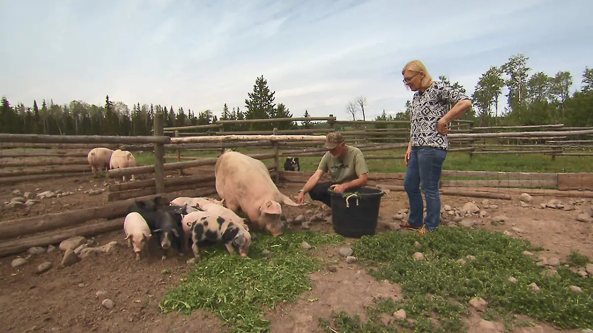 Angelika isst kein Schweinefleisch Andreas ist geschockt