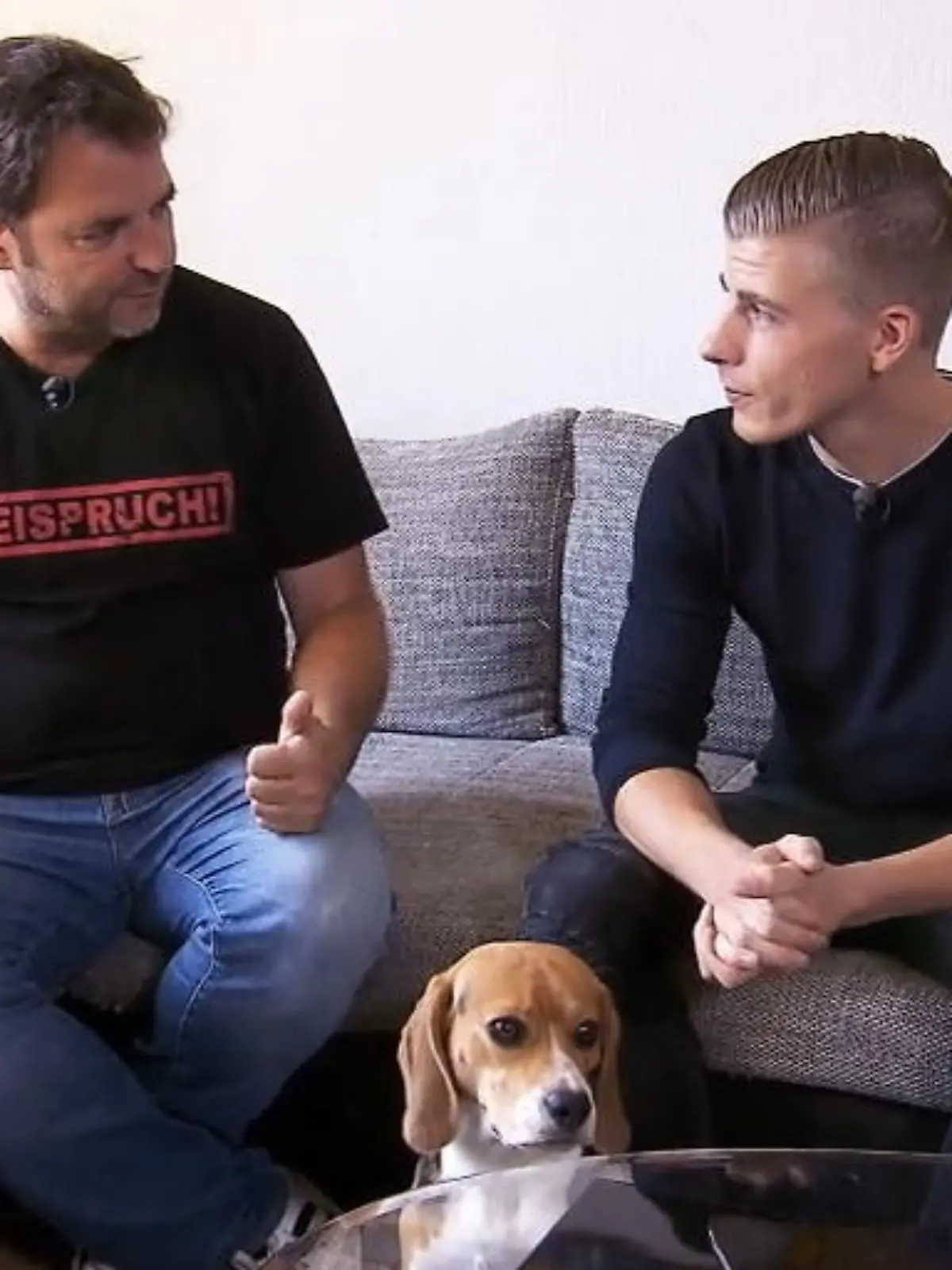 Bild zu: "Wie ist die Chaos-Beagle-Dame inzwischen drauf?"