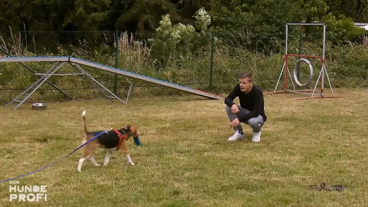 Wird die Hündin irgendwann mal müde? Kiara darf sich austoben