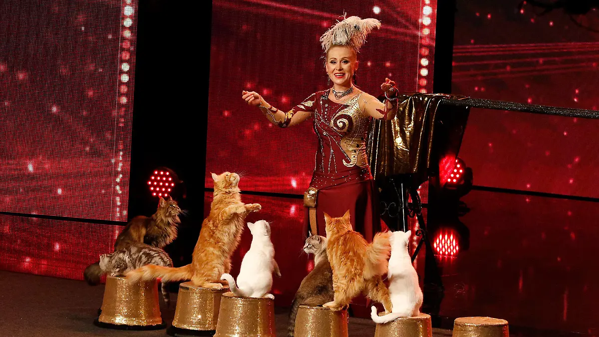 Die allererste Katzen-Nummer beim Supertalent Das Supertalent 2018: Show 5